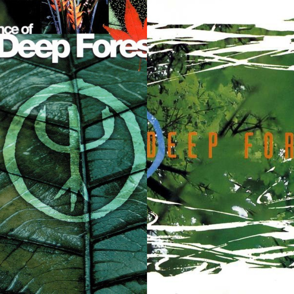 Deep forest альбомы. Deep Forest 1992 album. Deep Forest обложки альбомов. World Mix Deep Forest обложка. Дип Форест обложки альбомов.